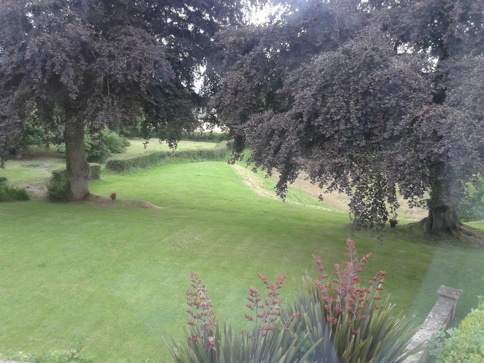סידמות' Buckley Farmhouse B & B חדר תמונה