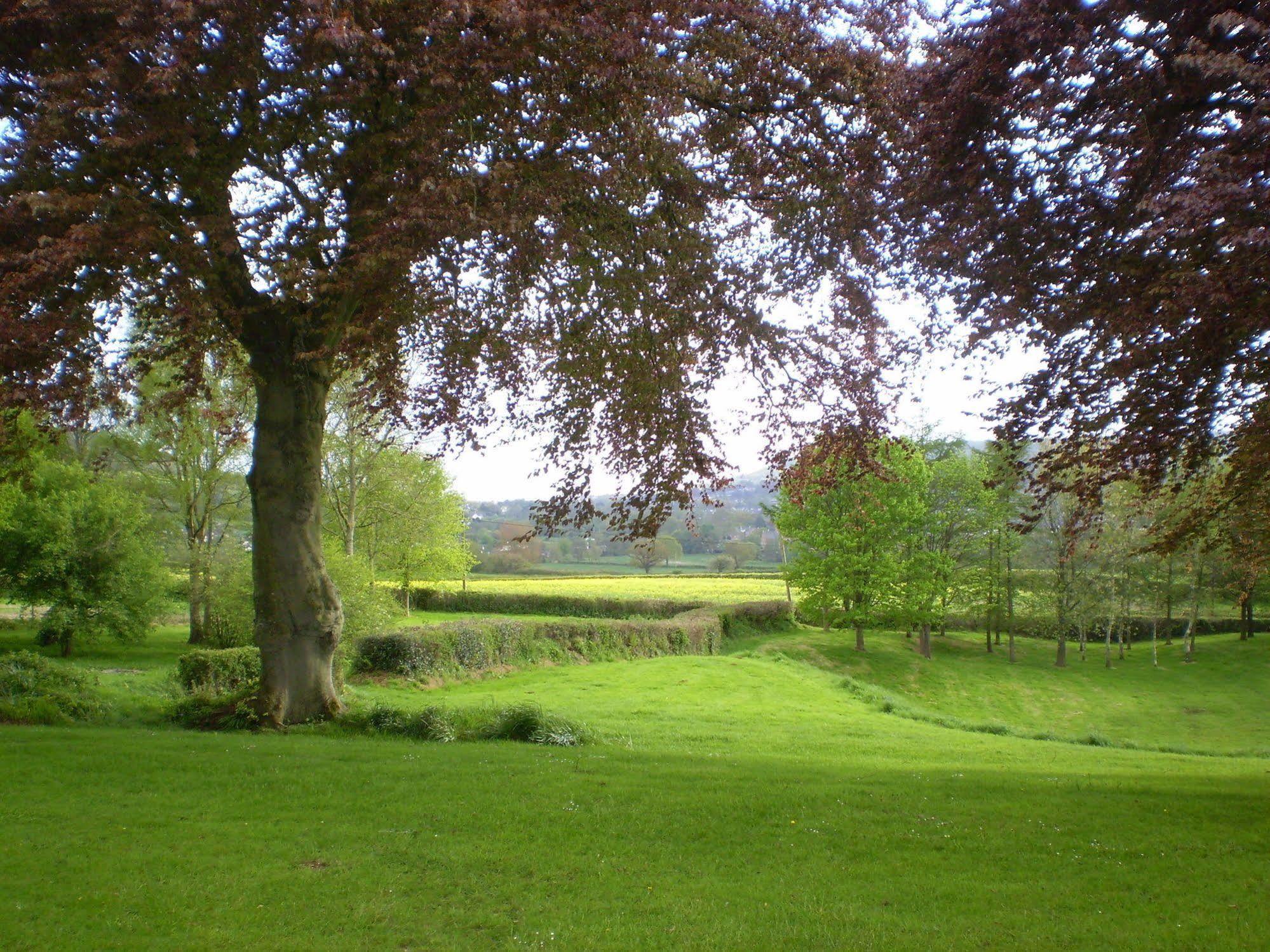 סידמות' Buckley Farmhouse B & B מראה חיצוני תמונה